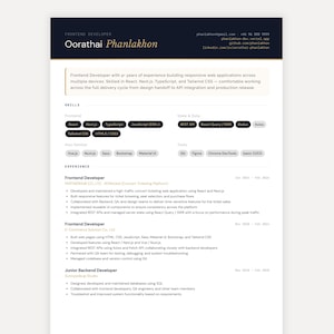 Front-end Developer Resume Template, Software Engineer CV Canva, Professional Coding Profile Pack
