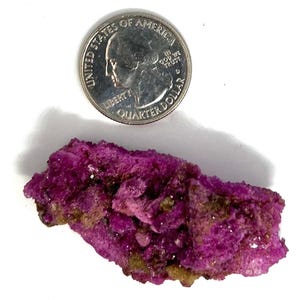 May include: A vibrant, crystalline mineral specimen in shades of deep magenta and purple, with hints of brown. A United States quarter dollar coin is placed next to the mineral for size comparison.