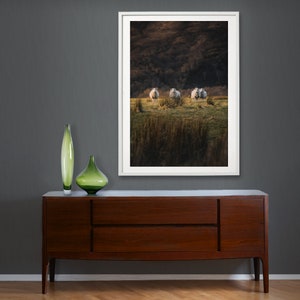 The Four Sheep, Sheep Wall Decor, Scotland, Farmhouse Print, Farm Decor, Wall Print, Rectangle Wall Art, Living Room, Vertical, Bedroom,