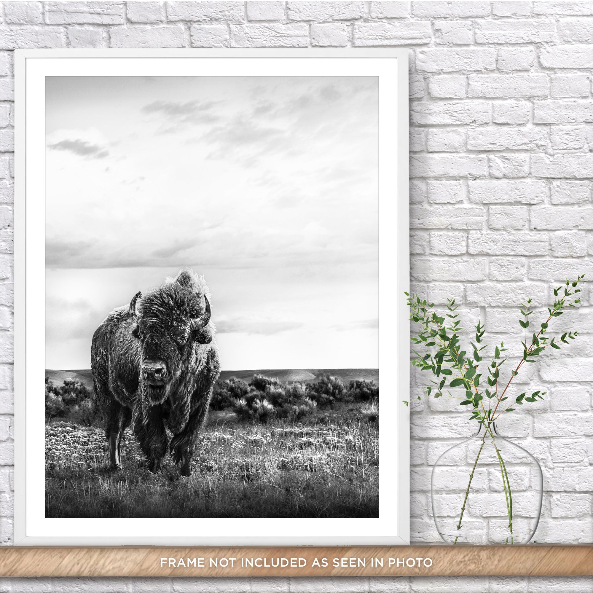 Buffalo Print, Bison Wall Art, American Bison Print, Black White Animal, Black White Bison Print