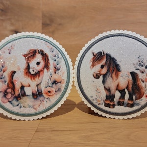Könnte beinhalten: Zwei runde, weiße, glitzernde Untersetzer mit grünem und grauem Rand. Jeder Untersetzer zeigt ein anderes Bild eines Cartoon-Ponys mit braunem und weißem Fell. Die Ponys stehen auf einer Blumenwiese.