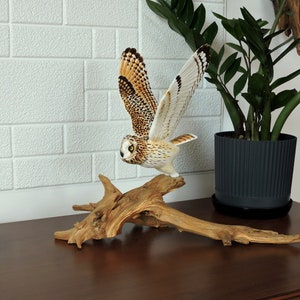 Wooden Short-Eared Owl Sculpture; Carved Flying Bird On Root; Asio Flammeus.