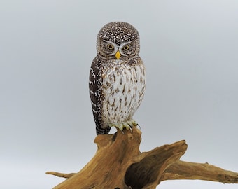 Pygmy owl on the root, a wooden sculpture of an owl, Sperlingskauz, Chevechette d' Europe.