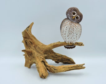 Pygmy owl, a wooden sculpture of an owl, Sperlingskauz, Chevechette.