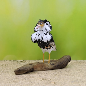 Handgeschnitzte hölzerne Ruff-Skulptur; Bemalte Vogelfigur; Philomachus pugnax.