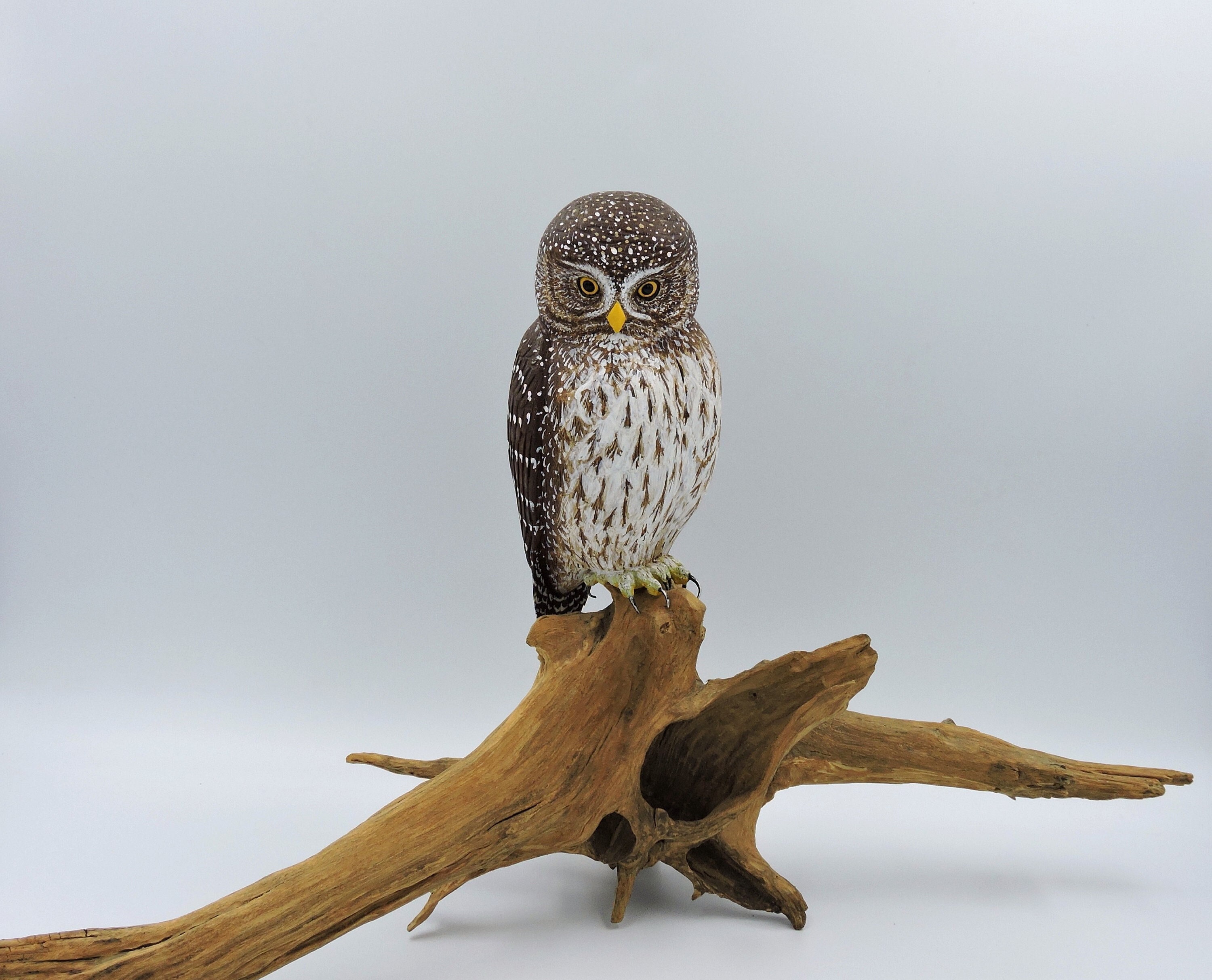 Hand-Painted Wooden Pygmy Owl Sculpture; Carved Owl On The Root; Glaucidium Passerinum.