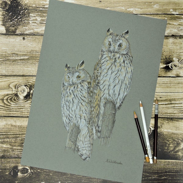 Long-eared owls, an original drawing of owls.