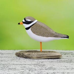 Ringed plover, Charadrius hiaticula, a small bird sculpture.