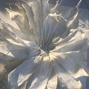May include: A large, handmade white paper flower with multiple layers of delicate petals. The flower is mounted on a white surface, with shadows adding depth and texture. The petals have a crinkled texture, creating a soft and ethereal effect.