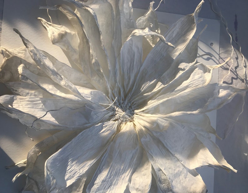 May include: A large, handmade white paper flower with multiple layers of delicate petals. The flower is mounted on a white surface, with shadows adding depth and texture. The petals have a crinkled texture, creating a soft and ethereal effect.