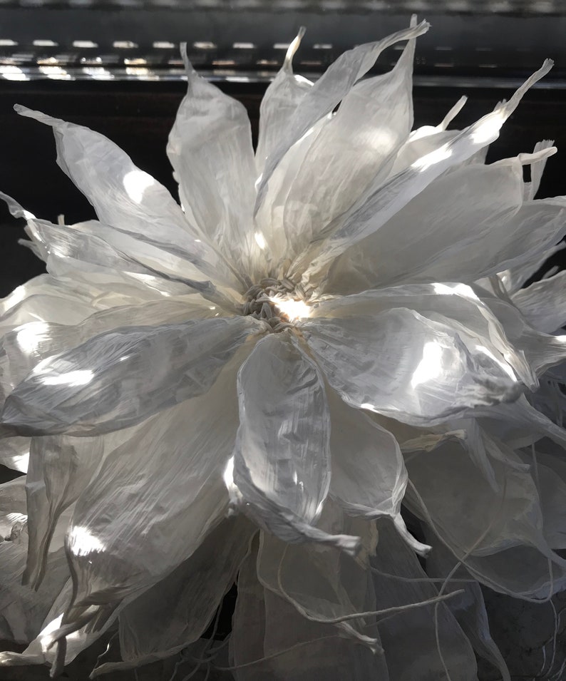 May include: A large, white, paper flower with multiple layers of delicate petals. The flower is illuminated, creating highlights and shadows that emphasise its texture and form. The overall effect is soft and ethereal.