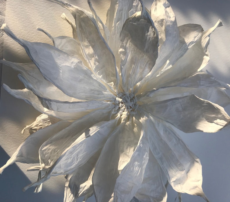 May include: A large, handcrafted paper flower with multiple layers of delicate, off-white petals. The flower's centre is tightly clustered, and the petals fan out, creating a full, textured appearance. The lighting highlights the subtle variations in the paper's surface.