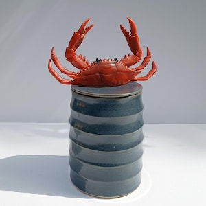 Könnte beinhalten: Eine rote Krabbenfigur sitzt auf einem blauen Keramiktopf mit Deckel. Der Topf hat ein geripptes Design und eine glänzende Oberfläche. Die Krabbe hat ihre Scheren erhoben, und der Topf wirft einen Schatten auf die weiße Oberfläche.