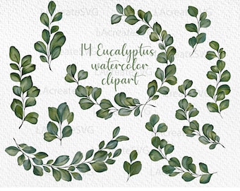 Eucalyptus Bundle Png Clipart, Eucalyptus Circle Wreath branch leaves PNG Clipart, Botanical greenery minimalist round wreath, Wedding logo