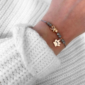 corneliagoecht image