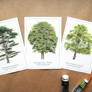 Lot de 3 Cartes postales illustrées à l'aquarelle. Le langage des arbres, Cèdre du Liban, Marronnier et Érable sycomore