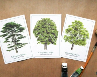 Set di 3 cartoline illustrate ad acquerello. Il linguaggio degli alberi, Cedro del Libano, Castagno e Acero montano