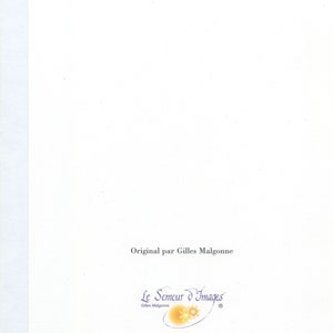 Carte postale double de remerciement enluminée avec son enveloppe, avec lettrine et oiseaux image 6