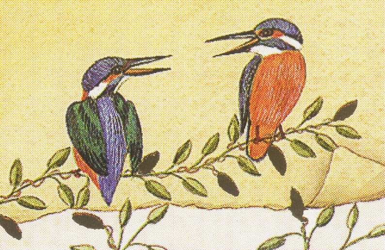 Carte postale double de remerciement enluminée avec son enveloppe, avec lettrine et oiseaux image 5