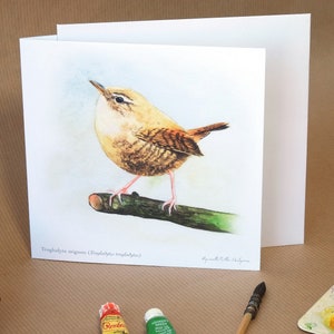 Carte postale double oiseau Troglodyte Mignon illustrée, avec son enveloppe