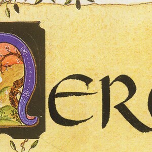 Carte postale double de remerciement enluminée avec son enveloppe, avec lettrine et oiseaux image 4
