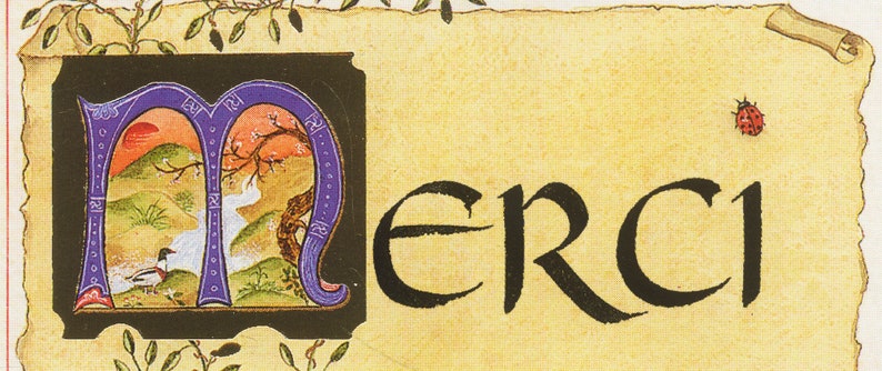 Carte postale double de remerciement enluminée avec son enveloppe, avec lettrine et oiseaux image 4