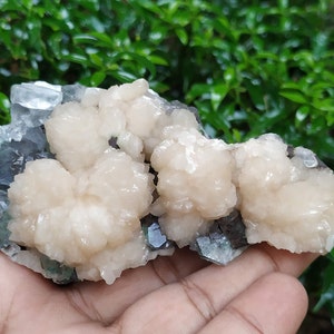 Könnte beinhalten: Ein Cluster aus weißen und hellrosa Calcitkristallen mit einer grünen und schwarzen Fluoritbasis.