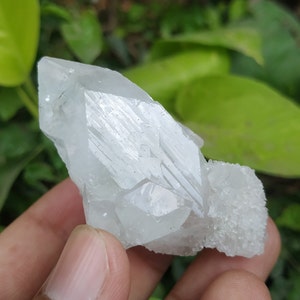 Supernaturlig fantastisk apofyllit/apofylitkristallpunkt snedställd stående på druizymatrisbas/kvalitets naturlig vass punkt