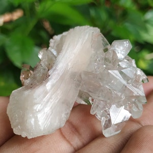 May include: A cluster of white and clear crystals with a striated, translucent, white crystal in the center. The crystals are arranged in a swirling, organic shape.