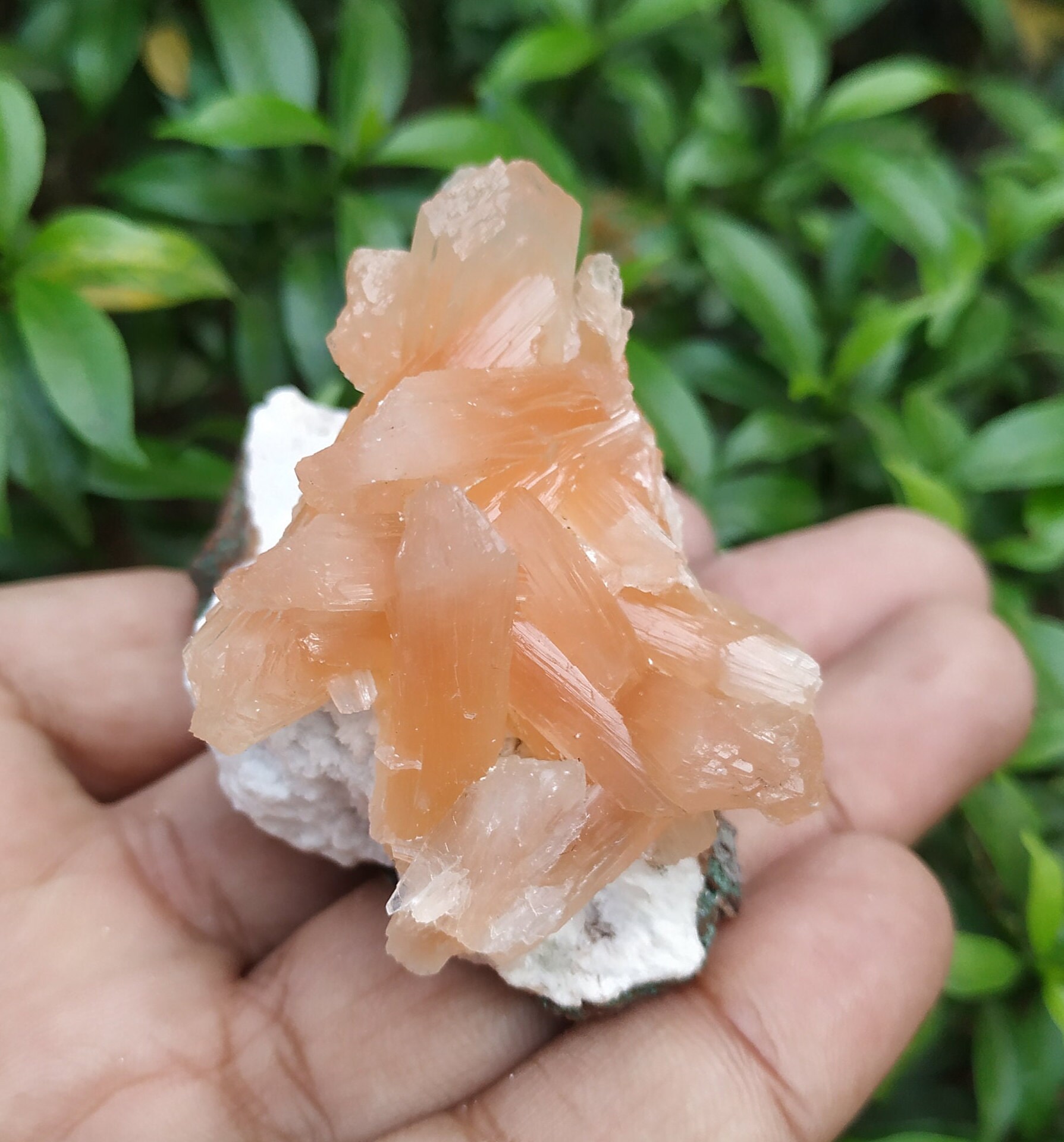 RakhamaExportsIN - Etsy
