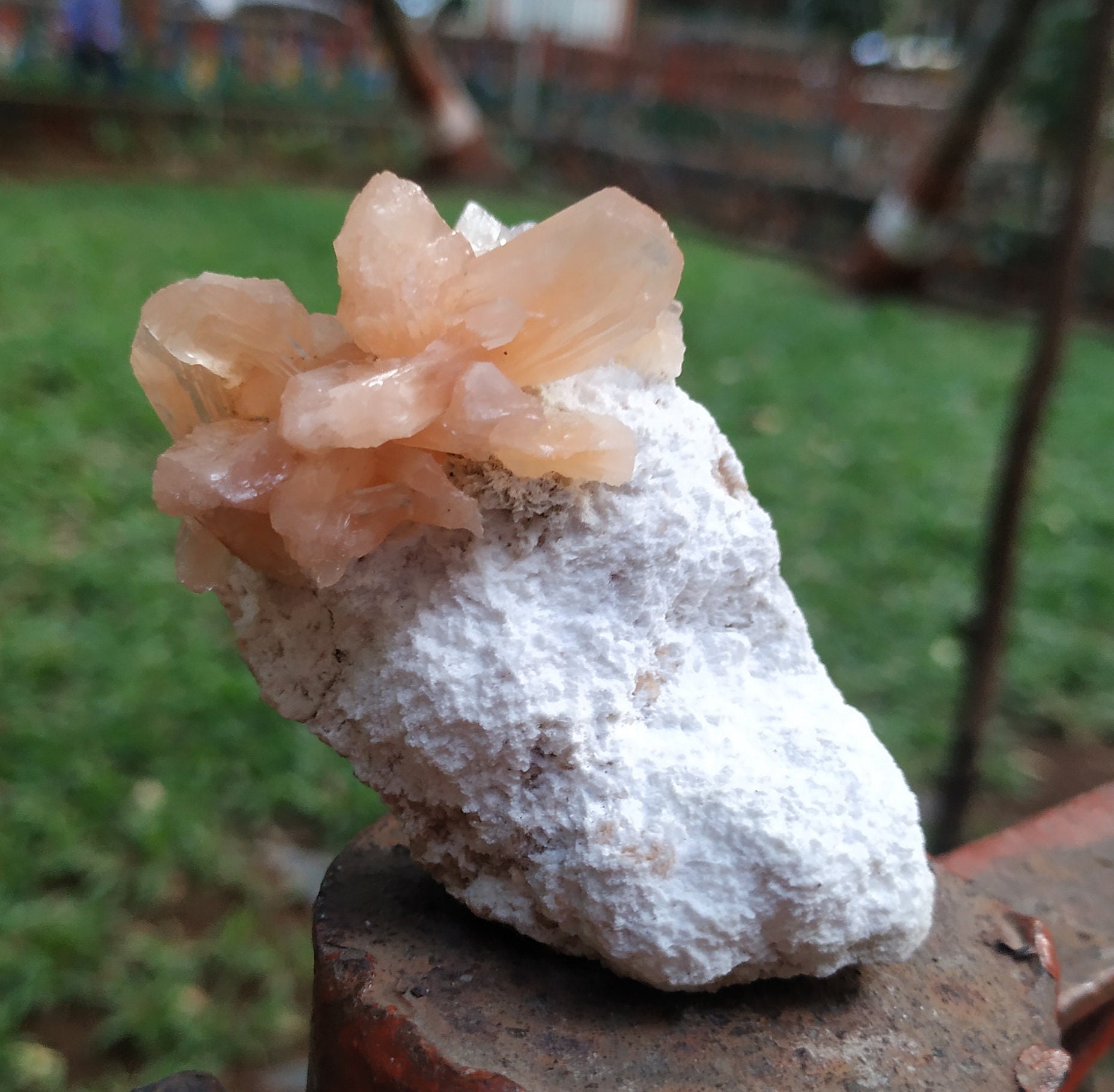 RakhamaExportsIN - Etsy