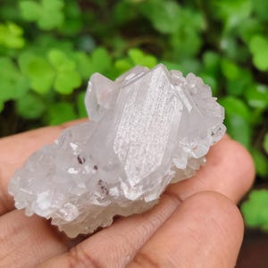 May include: A cluster of clear quartz crystals with a prominent central point and smaller surrounding formations. The crystals have a translucent appearance with subtle internal textures. The background features green foliage.