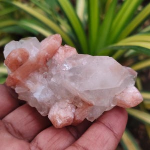 Könnte beinhalten: Ein Cluster aus rohen, natürlichen Kristallen mit einer Mischung aus klaren und pfirsichfarbenen Formationen. Die Kristalle werden in einer Hand gehalten, mit grünem und gelbem Laub im Hintergrund. Das Mineral hat eine raue, strukturierte Oberfläche.