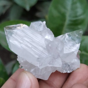 Super Natural DT With Single Terminated White Apophyllite Combination Points Crystal Super Enchanting Crystal Top Quality Speccimen