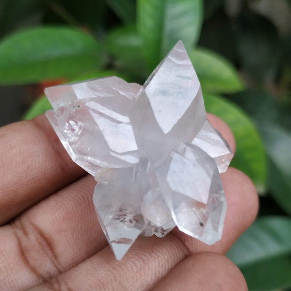 Réserve pour S Super petit amas de cristaux d'apophyllite blanche à quatre pointes pointus / Apo A+ blanc, qualité supérieure, très beau