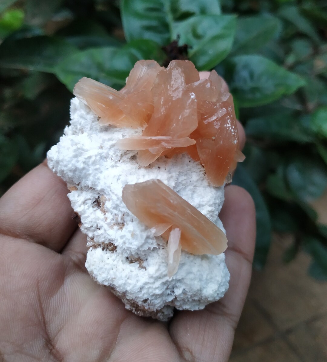 Stilbite Crystal on White Druizy Matrix Base - Etsy