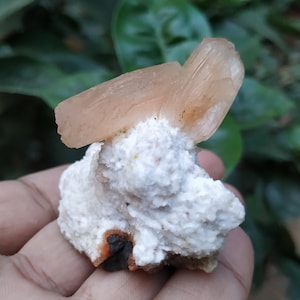Könnte beinhalten: Ein Cluster aus orangefarbenen Calcitkristallen auf einer weißen Matrix. Die Kristalle sind durchscheinend und haben einen glasartigen Glanz.