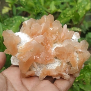 May include: A cluster of orange calcite crystals on a white matrix. The crystals are sharp and pointed, and they have a translucent appearance.