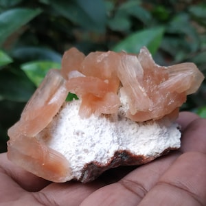 May include: A cluster of orange calcite crystals on a white matrix. The crystals are translucent and have a delicate, feathery appearance.