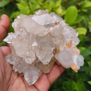 May include: A cluster of clear quartz crystals with a light beige hue and sharp, geometric formations. The crystals are held in a hand, with a backdrop of green foliage.