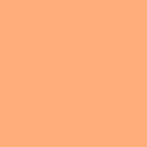 May include: Solid peach-colored background. The image is a flat, uniform color with no visible texture or patterns. The color is a warm, light shade of orange, similar to the fruit.
