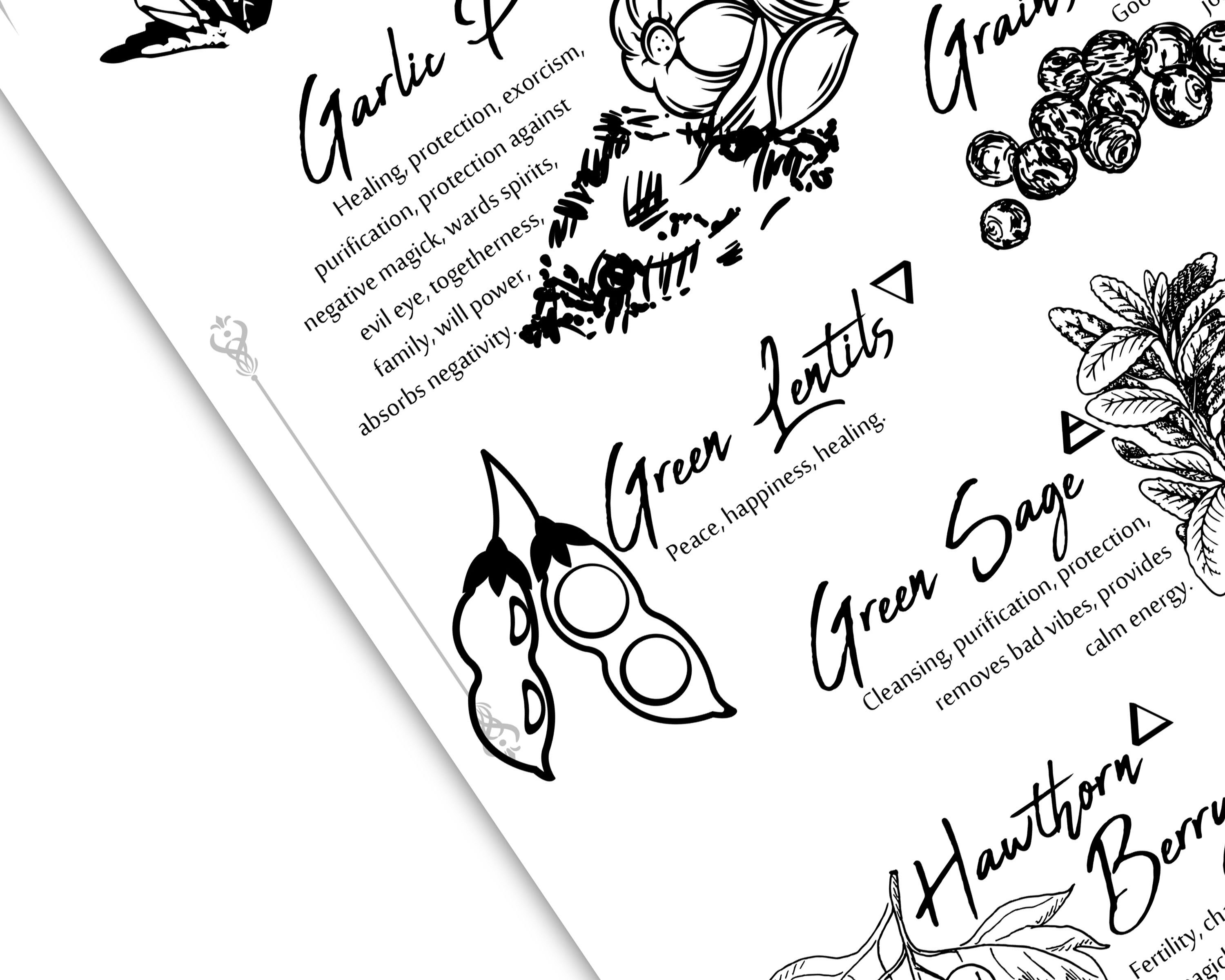 Herbs & Spices V5 Magickal Uses Kitchen Witchery Witchcraft Etsy