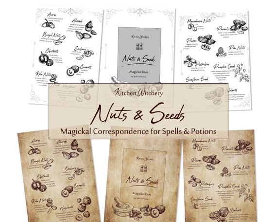 Nuts Seeds Magickal Uses Correspondence Kitchen Witchery Etsy