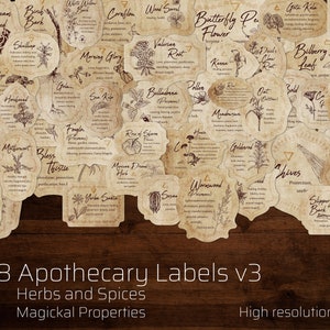 Herb & Spices v3 Apothecary Label Set 48 Printable Witchcraft sticker Tags with inscriptions of herbs magical properties in spells + potions