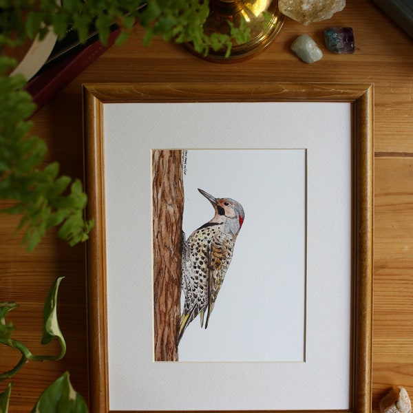 Northern Flicker Woodpecker - Man // 5x7 / 8x10 // Aquarel // Wall Art // Vogels // Natuur