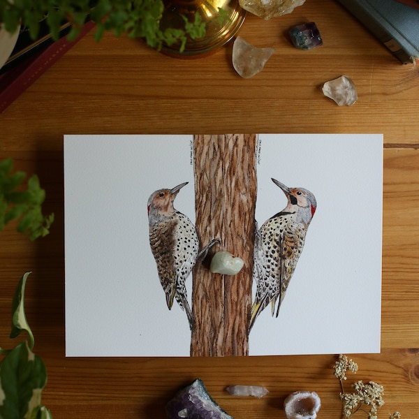 Northern Flicker Woodpecker - DUO // 5x7 / 8x10 // Acuarela // Arte mural // Aves // Naturaleza