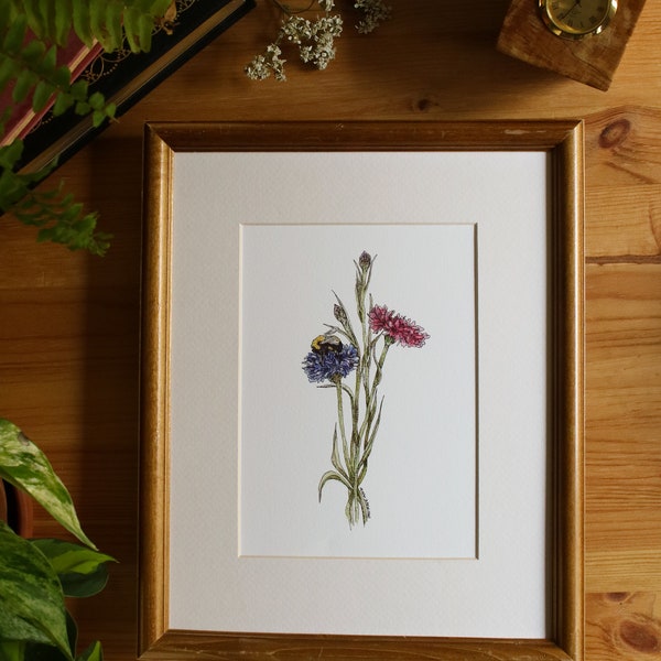 Bachelor Button Flowers // 5x7 / 8x10 // Wall Art // Flower Print // Illustration