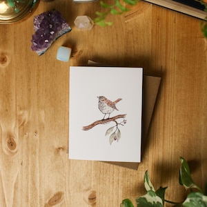 Petite grive ermite / 4 x 5 cartes de voeux / carte de voeux vierge / carte d'amant des oiseaux / carte toutes les occasions / oiseaux aquarelles