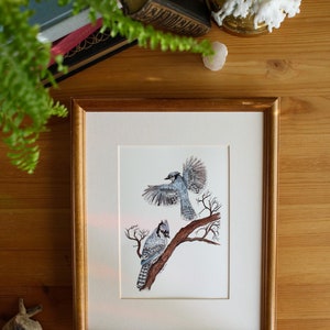 Blue Jays // 5x7 / 8x10 Art Print,  Nature Watercolour Painting,  Birds, Watercolour Bird Painting, Blue Jay Illustration, Blue Jay Gift
