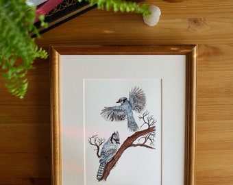 Blue Jays // 5x7 / 8x10 Art Print,  Nature Watercolour Painting,  Birds, Watercolour Bird Painting, Blue Jay Illustration, Blue Jay Gift